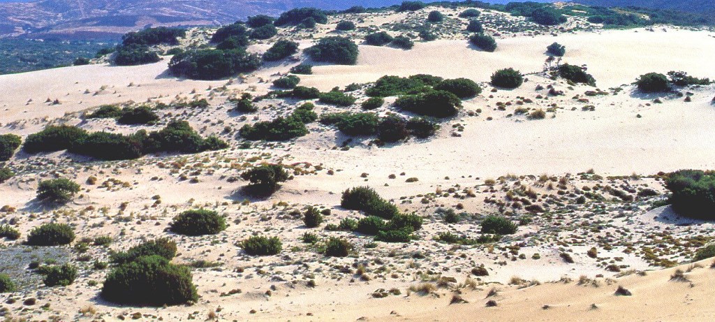 DesertificazioneSardegnaCorpo2