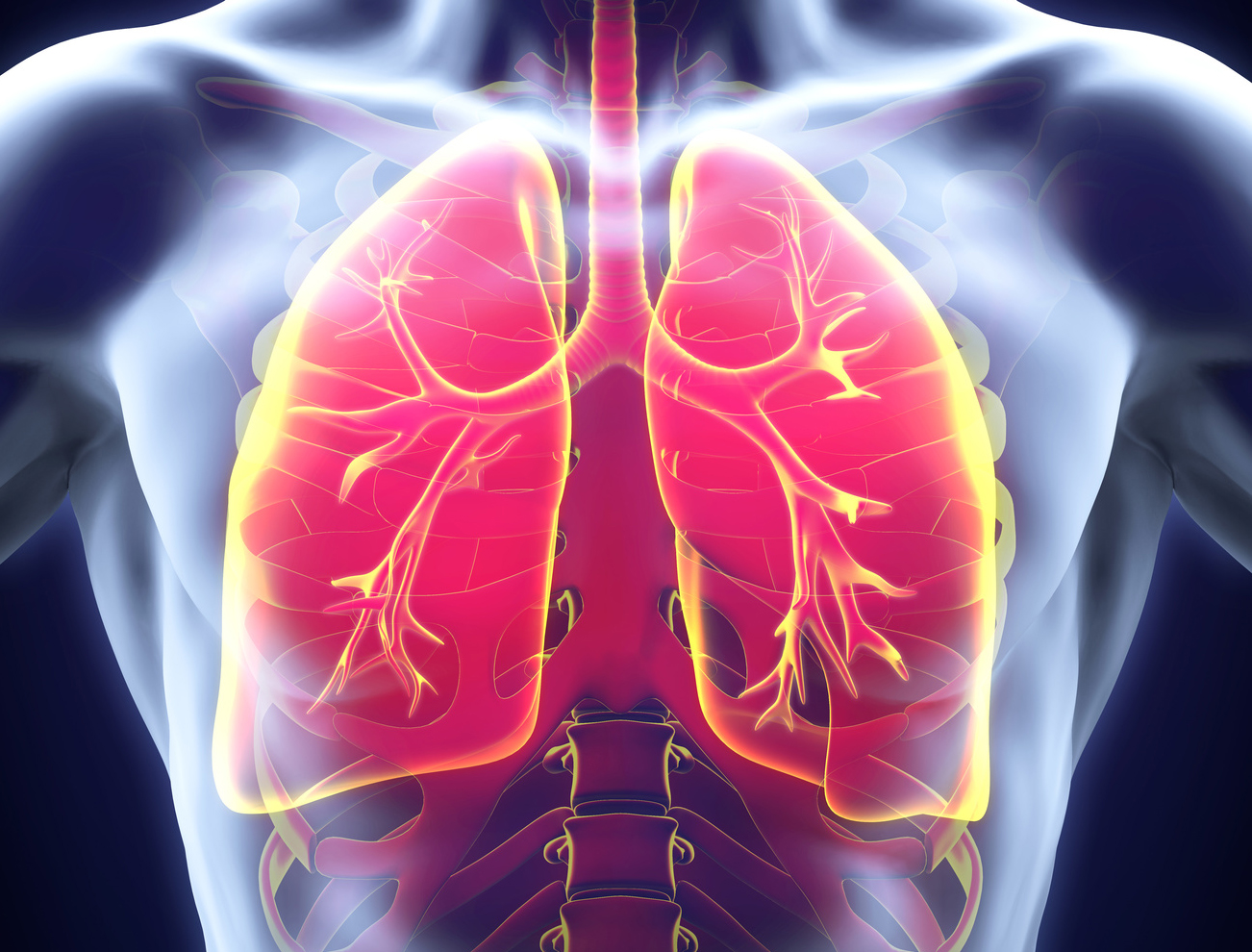 Fibrosi polmonare idiopatica, un nuovo farmaco all’orizzonte per questa grave malattia rara